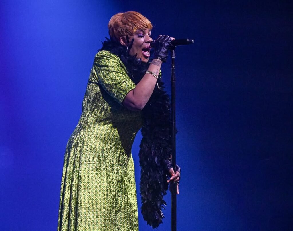 Tahmel Hinds: A Rising UK Music Star with Soulful Roots tahmel hinds